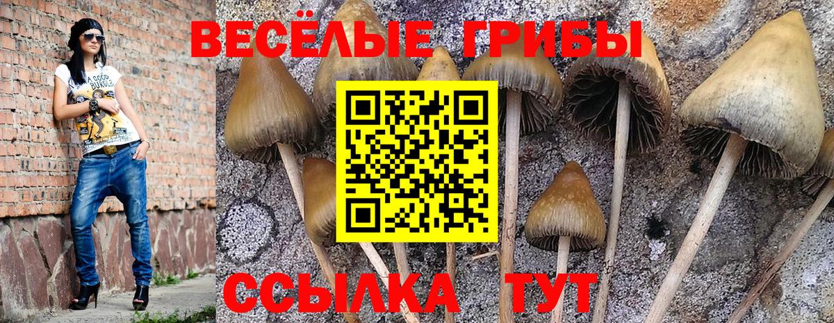 Среднеуральск  Псилоцибиновые грибы Magic Shrooms  Вход с VPN 