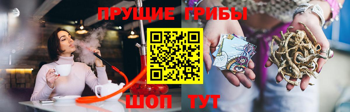 Псилоцибиновые грибы ЛСД Среднеуральск